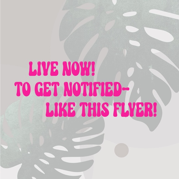 Get notified of my live sales! Like this flyer! - Picture 2 of 2